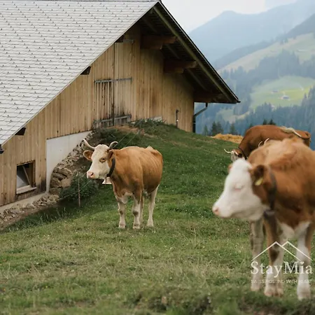 Staymia- Swiss Family Retreat Reutigen