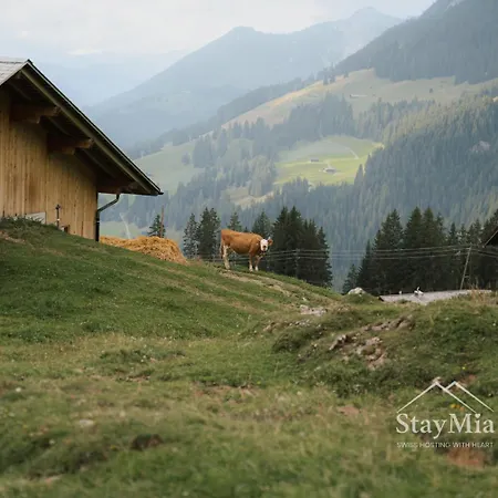 Daire Staymia- Swiss Family Retreat Reutigen